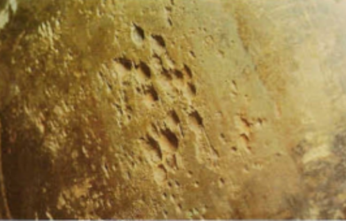 Untitled design (44)